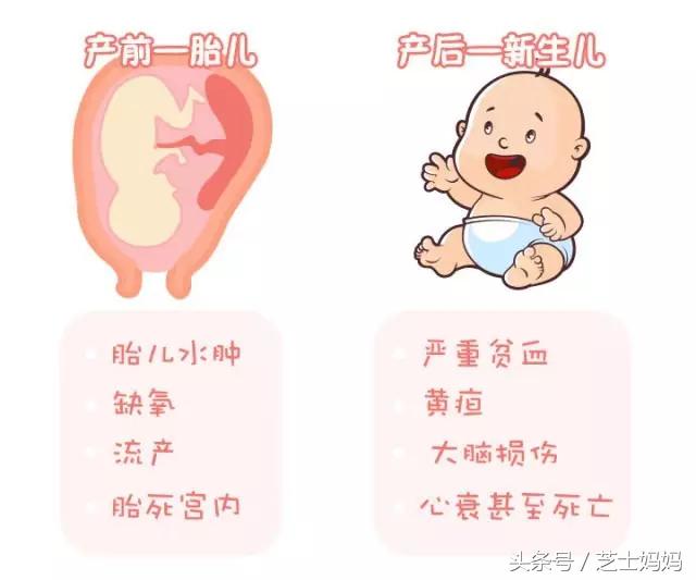 熊猫血生娃的成功率高吗,熊猫血如何生二胎