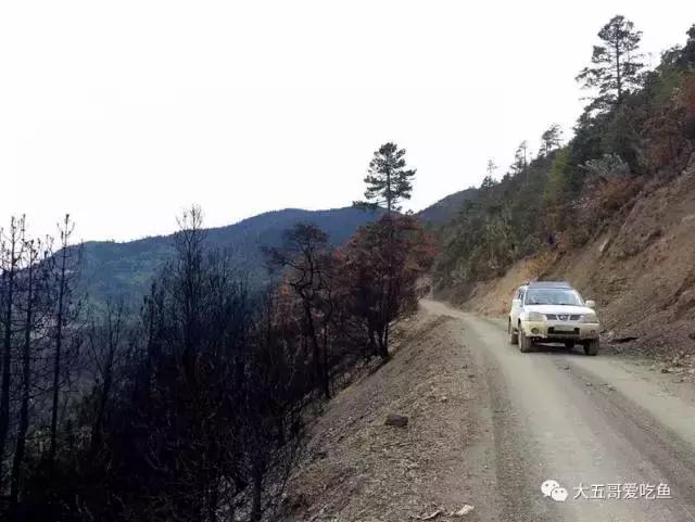 帕拉丁适合年轻人的硬派越野,硬派越野帕拉丁