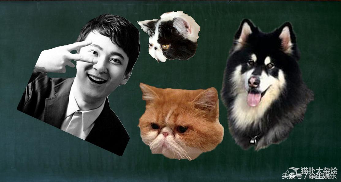 出国12年小伙却突然海归回国,22岁留学生玩电竞