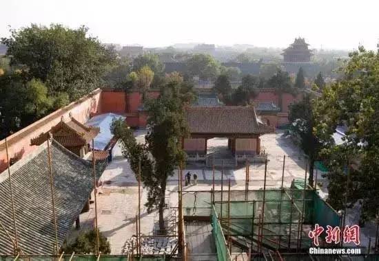 旅游万万没想到,旅游奇葩说