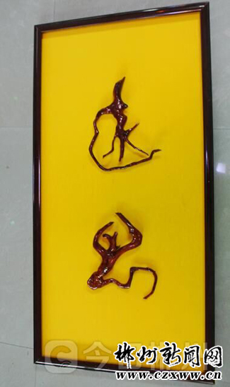 废柴在他手里变成了“宝”根书作品混然天成