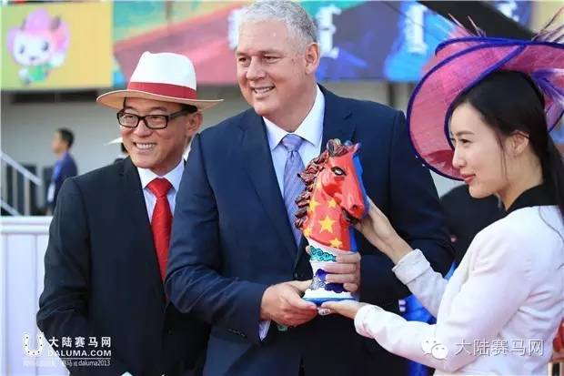 马术文化节开幕,鄂尔多斯驭马节赛事