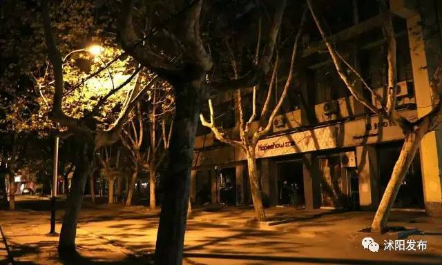 沭阳现在是个什么样的城市,沭阳是一个怎么样的城市