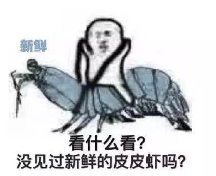 网红豪华坐骑皮皮虾,失踪后再现魔都竟然是在这里,带走它唯一的方法就是……