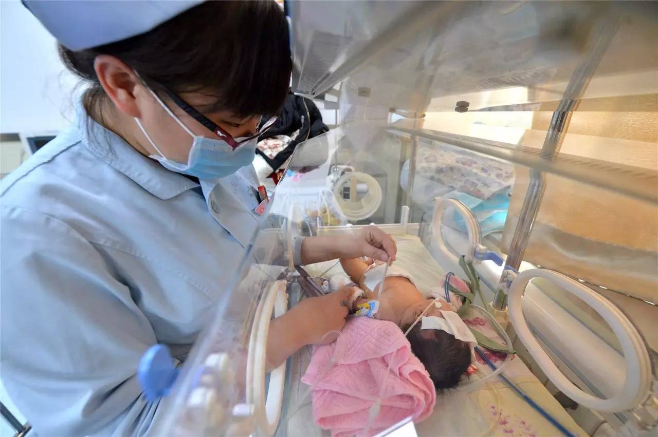 阅天下|石家庄人注意!出租房子必须依法登记备案!违者将被处罚……