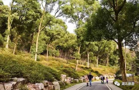 东湖绿道周末人挤人,东湖绿道堵车