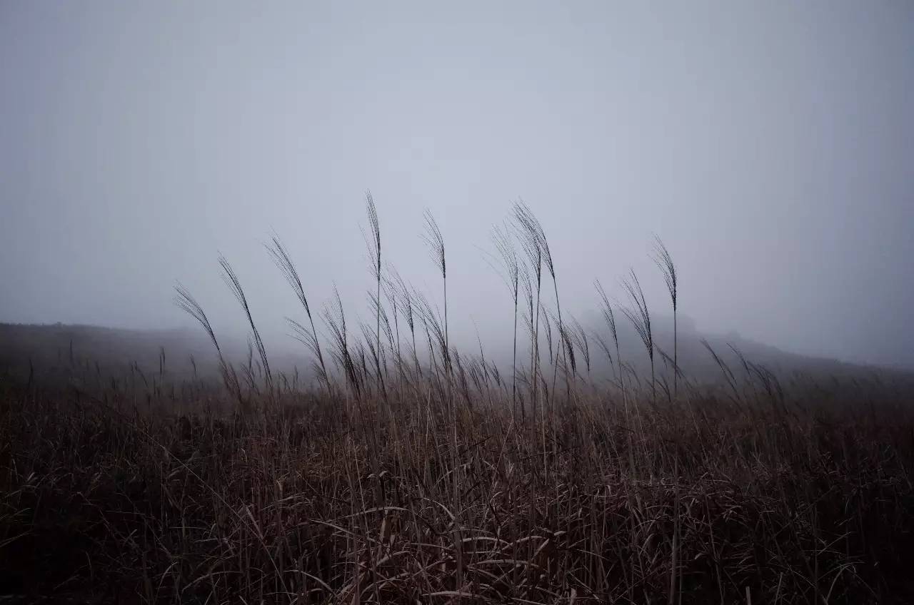 云雾中的香港大东山,香港大东山全景