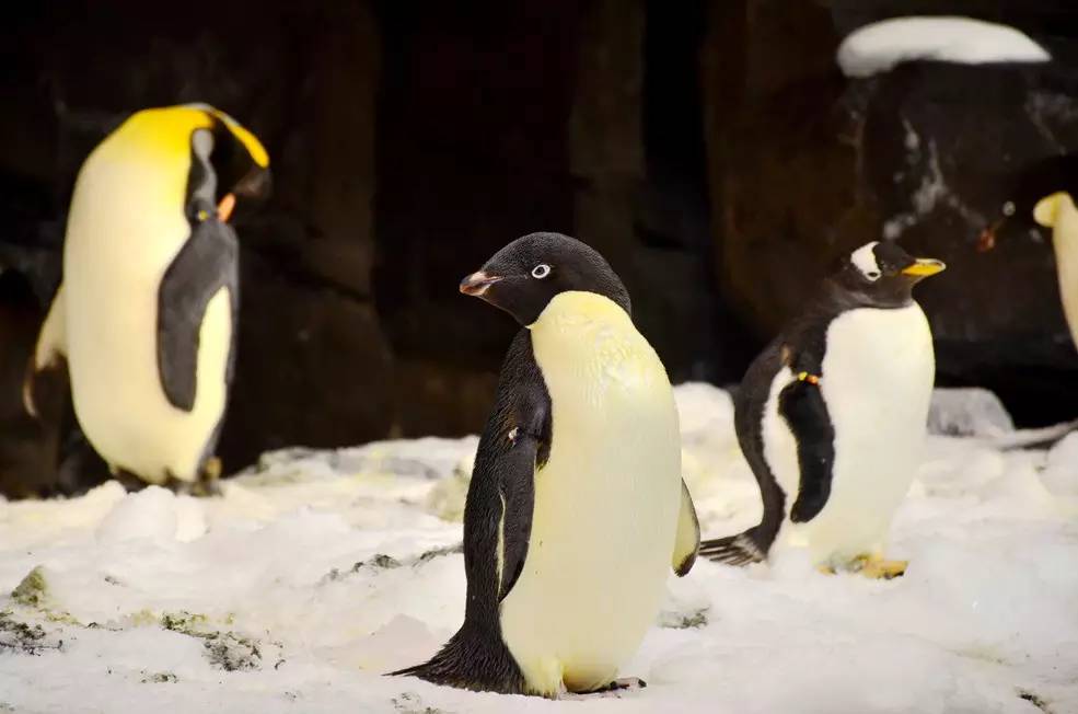 南京春天适合孩子玩的地方,南京情侣适合玩的地方旅游攻略