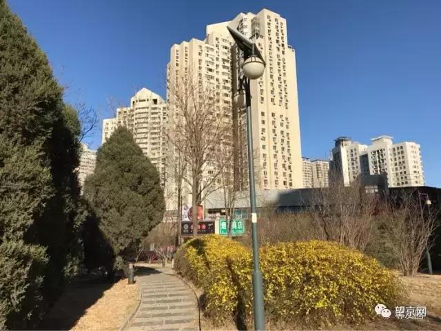 从望京地标到望京西园四区，繁华落尽依旧爱你！