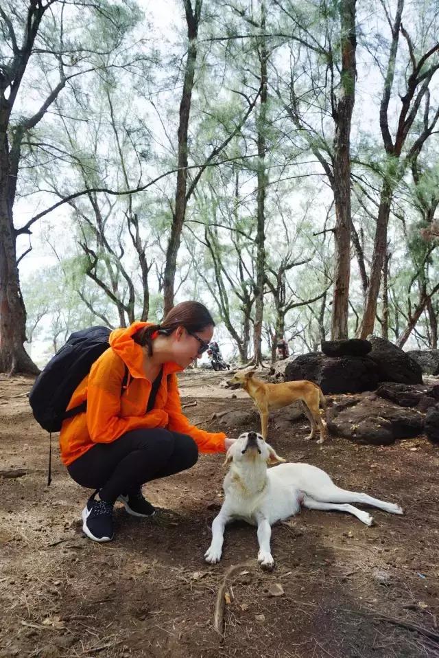 毛里求斯，拿水壶换保时捷的天堂