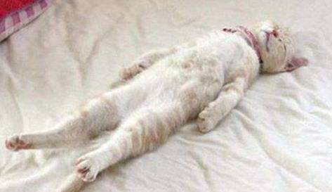 跨境最好的产品,跨境购信息