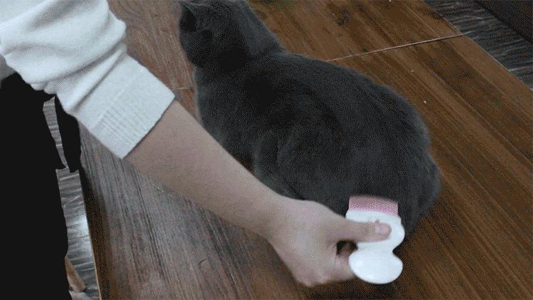 宠物除毛梳,宠物除毛神器哪个好用