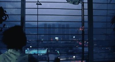 我的每一次飞机都是为你而打，这是香港最好的青春片