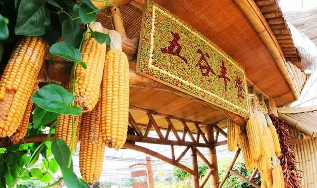 厉害了我的廊坊！这个有着美丽风景和高颜值的城市，变身“网红”