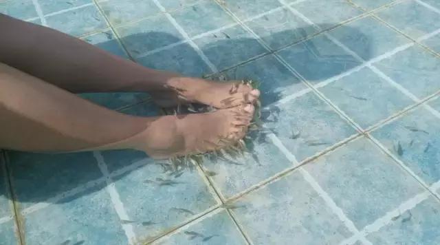 厉害了我的廊坊！这个有着美丽风景和高颜值的城市，变身“网红”