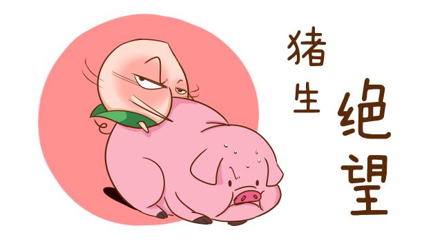 碧云桃｜求助贴男友太直怎么办……