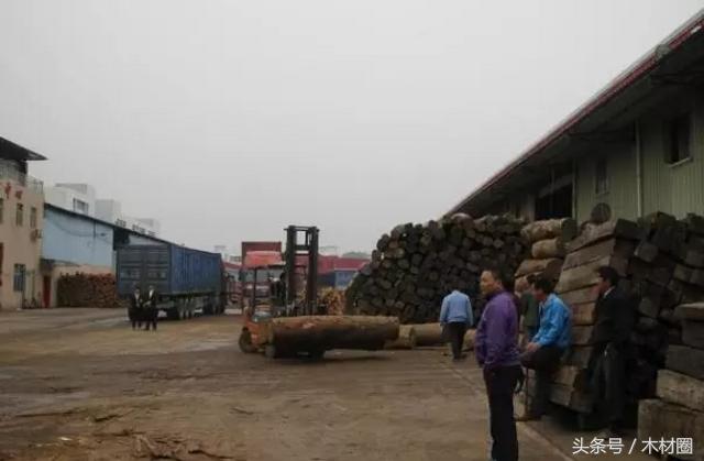 红木大果紫檀今年的价格,大果紫檀木料最新价格走势