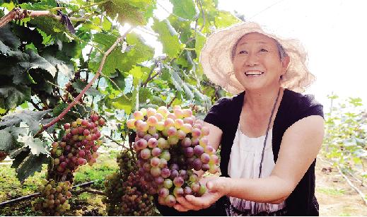 农村产权改革开花结果 (农村产权制度改革惠及民生)