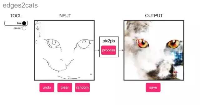 年轻人,想不想亲自去拍个猫片呀!