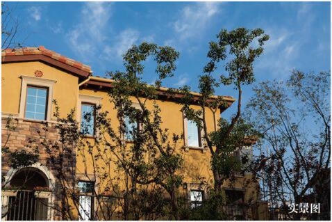 汤逊湖东原纳帕溪谷别墅,东原纳帕溪谷2期多少一平