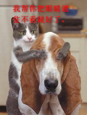 脸上各部位长痘原因和改善方法,满脸长痘的原因及调理方法