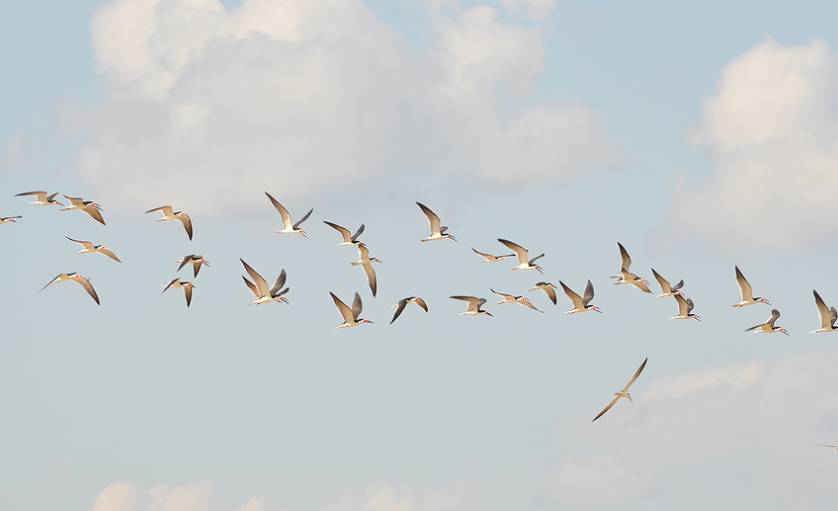 初中物理力的经典题型,初中物理易错题型1000道