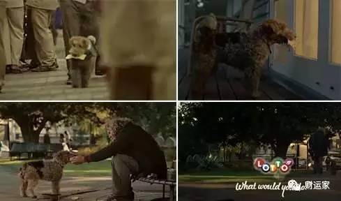 外国彩票创意宣传,日本彩票创意广告