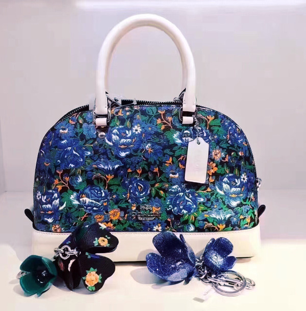 coach蔻驰包包1982,coach蔻驰2024新款包包