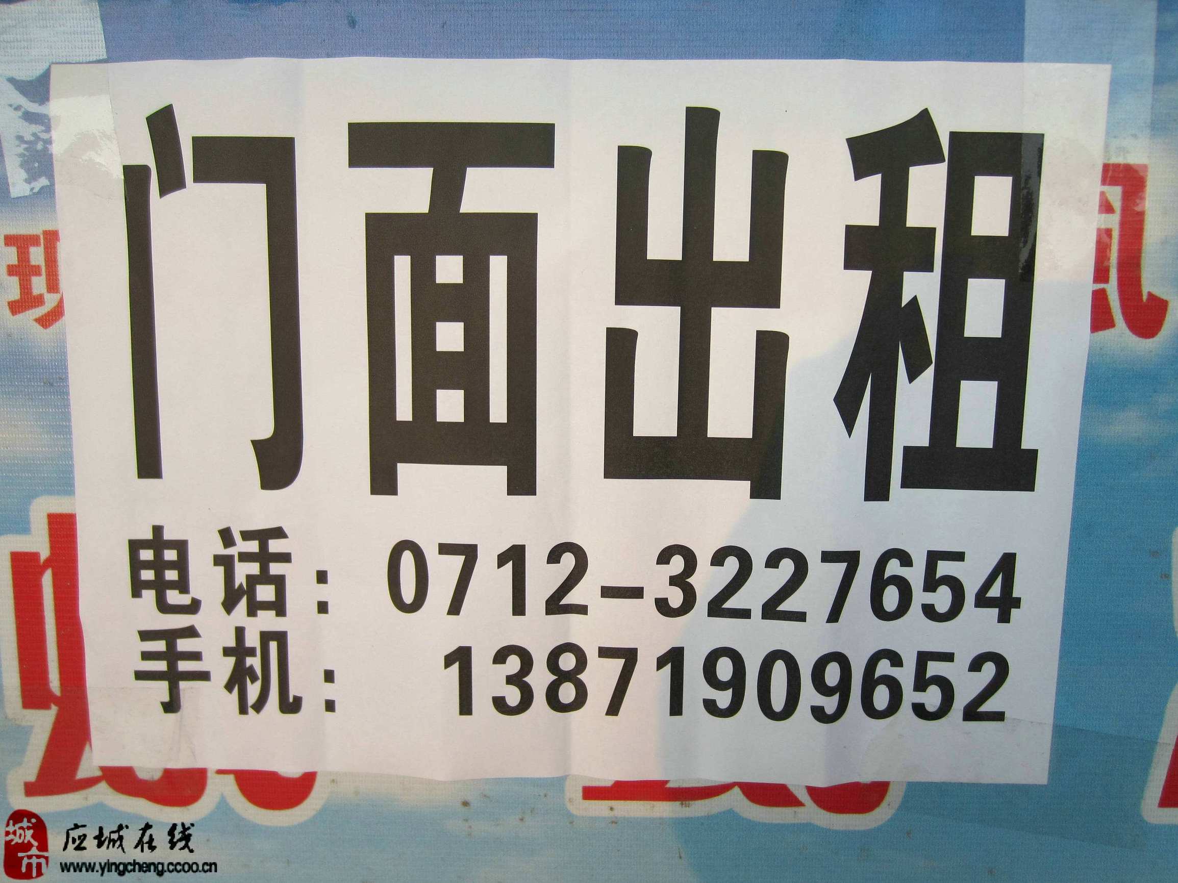 租了房子之后可以租给别人吗,租了房子之后应该干啥