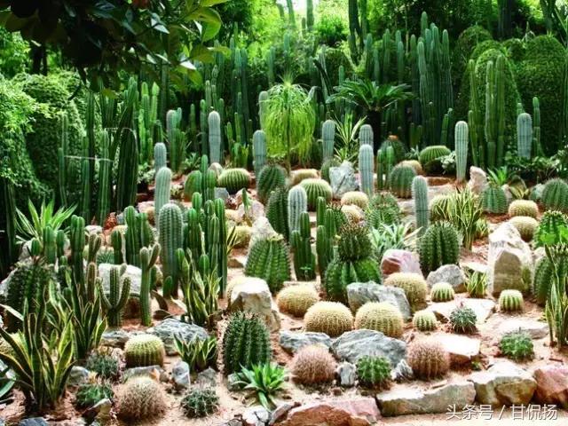 周末中山值得去打卡的地方,中山周末去耍的公园