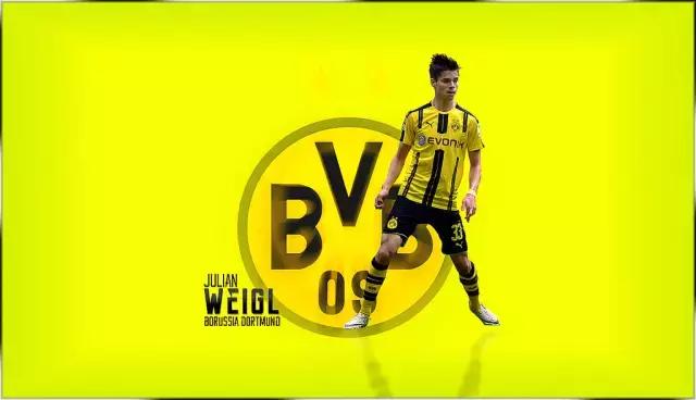 多特蒙德队徽带狮子图案的壁纸,多特蒙德壁纸高清全面屏