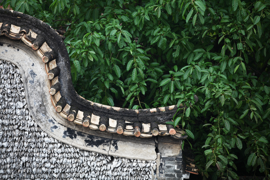 有人说榕树容财不容人是什么意思,榕树不容人的迷信说法