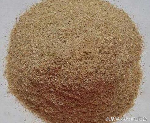 营养土可以种花吗怎么配制,想种花但是没有花盆怎么办