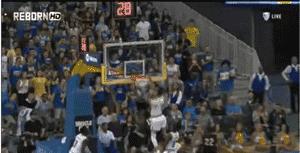 这个名字带球的家族，将要统治NBA十年？