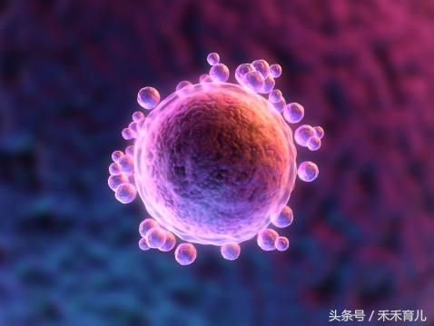 试管婴儿智商普遍不高是真的吗,试管婴儿智商低