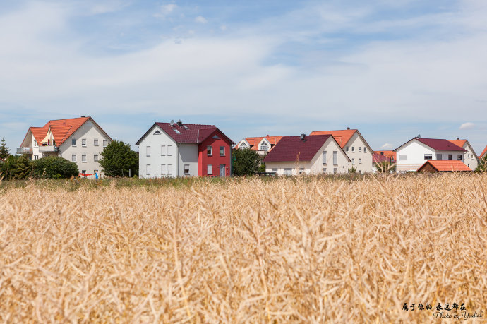 歌德与席勒,歌德为席勒写的诗