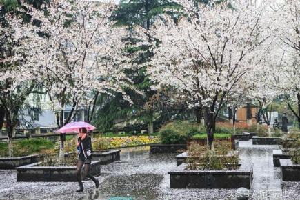 这片还未被杭州人占领的萧山“宝地”，还能“封藏”多久？