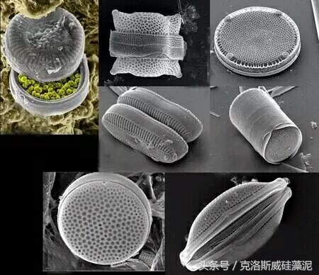 天然硅藻泥真的没甲醛吗,硅藻泥真的无甲醛吗