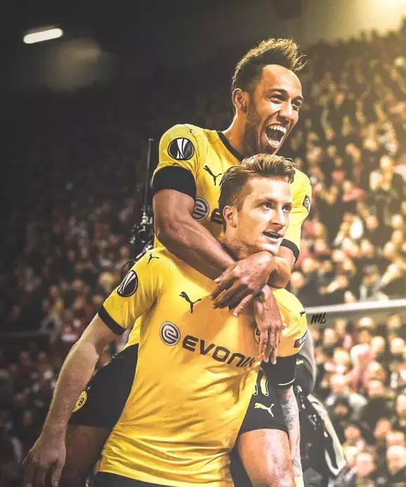 多特蒙德队徽带狮子图案的壁纸,多特蒙德壁纸高清全面屏