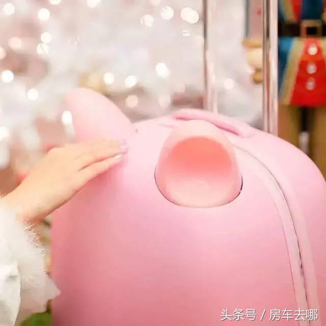 女王,你该把旅行托付给这样的旅行箱