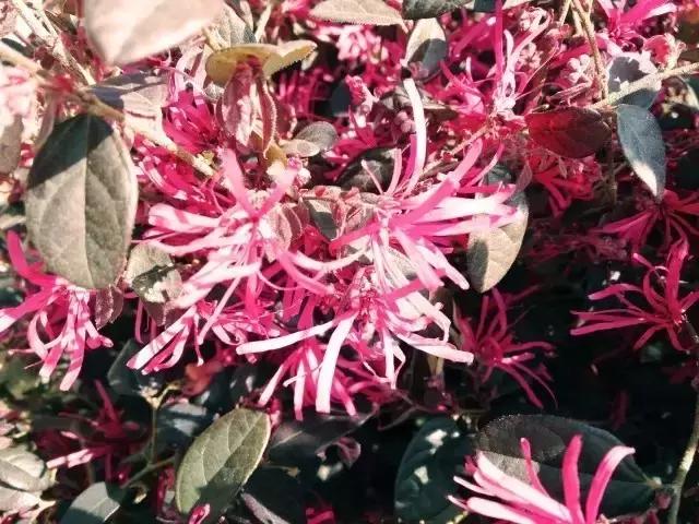 我在昆明理工大学，我为昆工骄傲