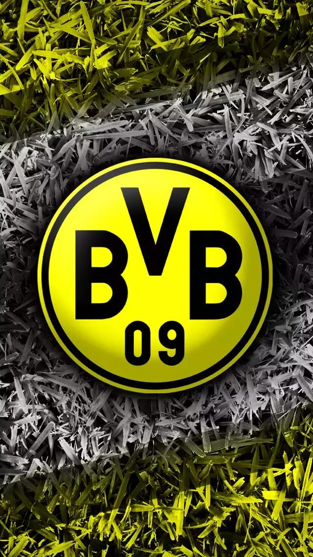 多特蒙德队徽带狮子图案的壁纸,多特蒙德壁纸高清全面屏