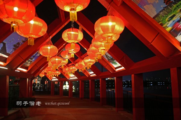 居于涟岸隐于湖，到肇庆体验离尘不离城的精致慢生活