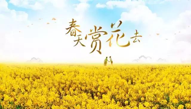 用VR看花海是种怎样的体验？这周就去免费看~