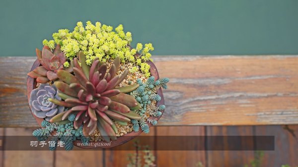 居于涟岸隐于湖，到肇庆体验离尘不离城的精致慢生活