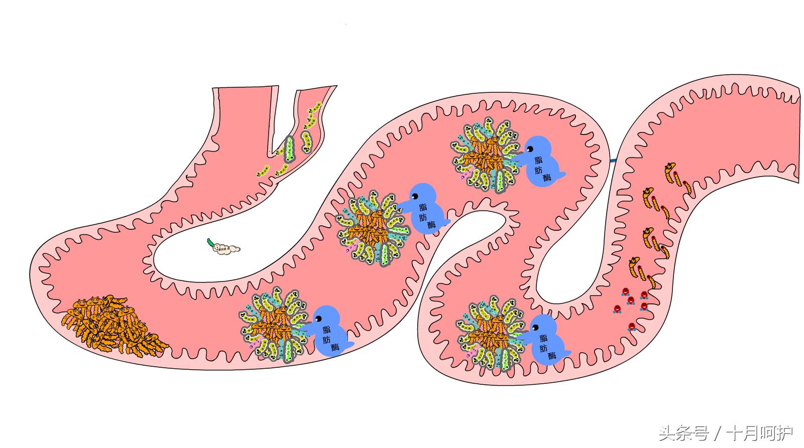 你身体里可能有“毒”！看完这篇就“解”了