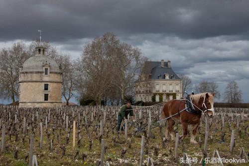 新闻一箩筐：拉图推98分佳酿，黄尾“变脸”了……