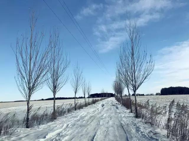 烧胎起步吓人,烧胎起步的原理