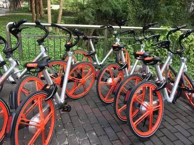 其实，你早就遇见：清远，离广州最近的一座城！