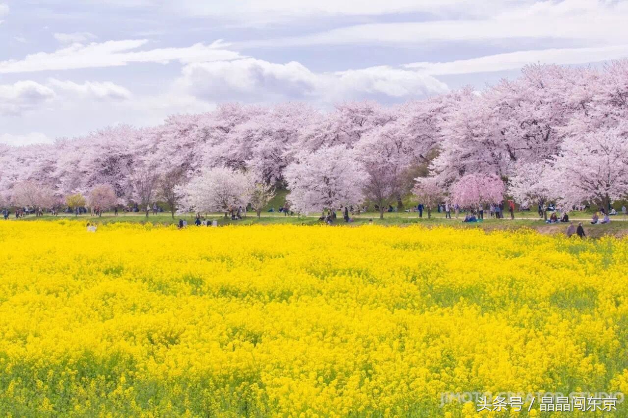 把自己当回事全文免费阅读,把自己当回事最重要